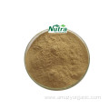 Organic Sea Buckthorn Extract powder